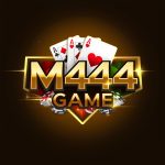 M444 Game